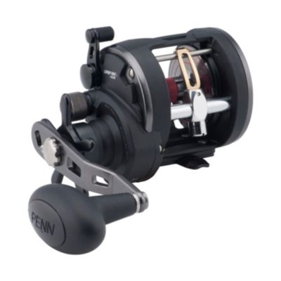 PENN Warfare Level Wind Conventional Fishing Reel