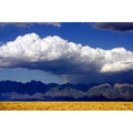 Cool Colorado Rain Canvas Art - Douglas Taylor (12 X 18)