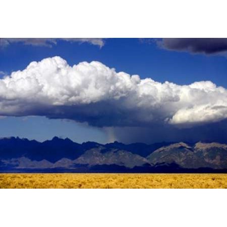 Cool Colorado Rain Canvas Art - Douglas Taylor (12 X 18)